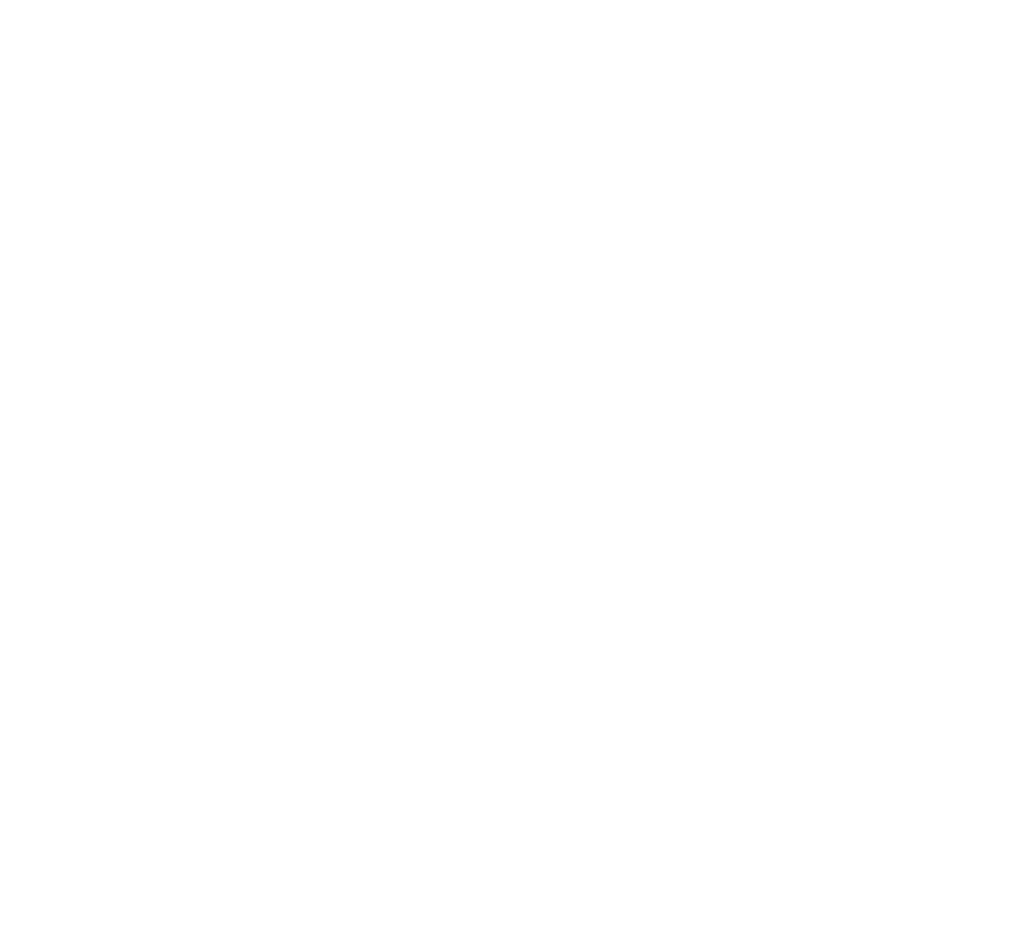 LE CRI DU CHARBON